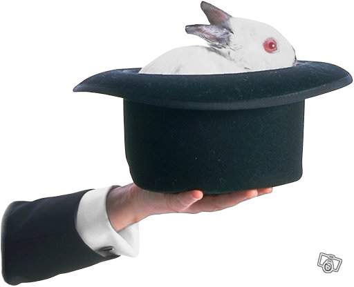 envie d\'envoyer une image de magie